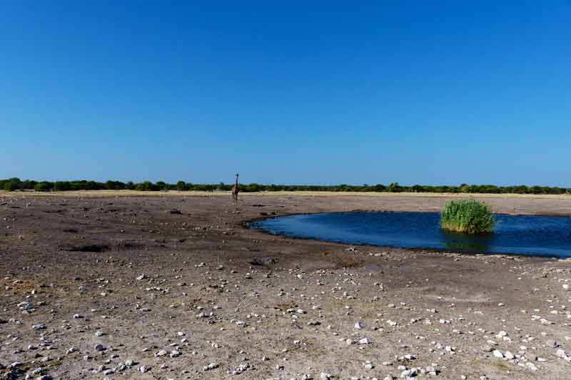 Namibia